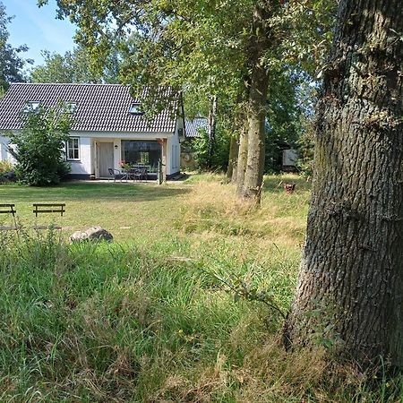 B&B Het Mooie Uitzicht Reuver Eksteriør bilde