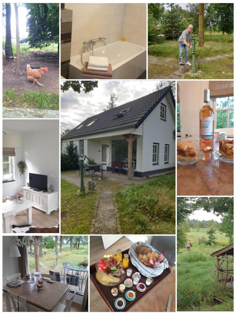 B&B Het Mooie Uitzicht Reuver Eksteriør bilde